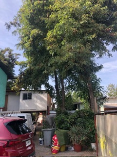 6f2be2b1-9aed-4b51-849c-eda7a4f5746e